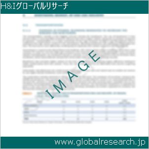 グローバルリサーチ調査レポートのイメージ